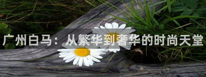 意昂3集团logo