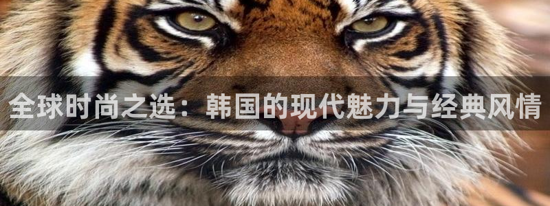 意昂3娱乐