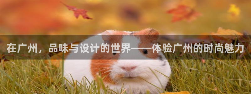 德国意昂3集团