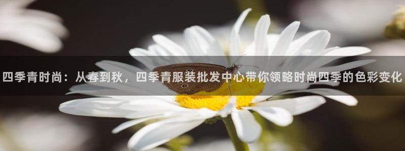 意昂体育3是干嘛的公司
