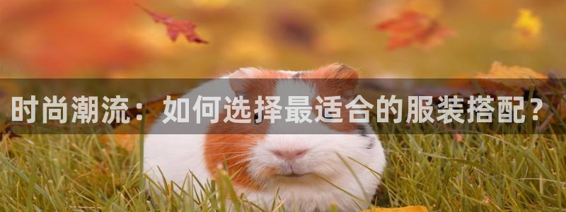德国意昂3集团