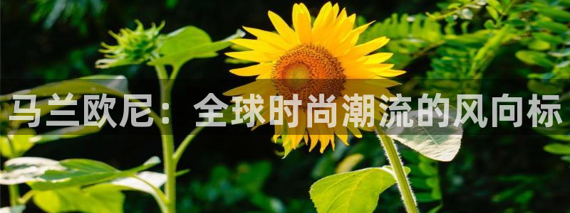 意昂体育3平台