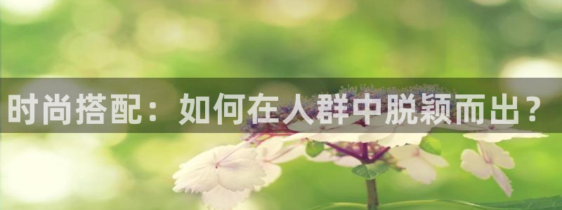 意昂体育3招商电话是多少啊