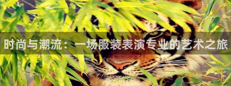意昂3娱乐是那个系列的台子