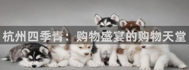 意昂3代理