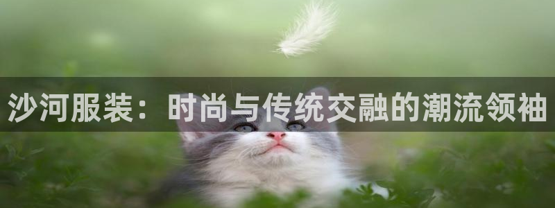 意昂体育3招商电话是多少啊