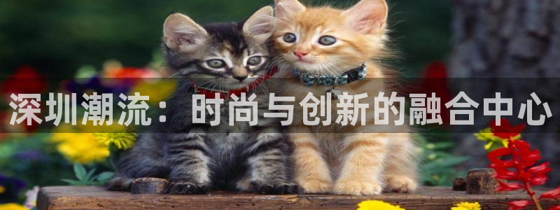 意昂体育3开户