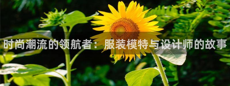 意昂集团官网
