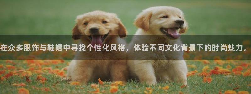 意昂体育3平台APP