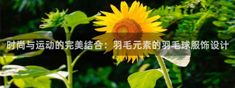 海南意昂体育3