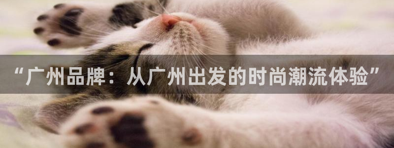 意昂3娱乐